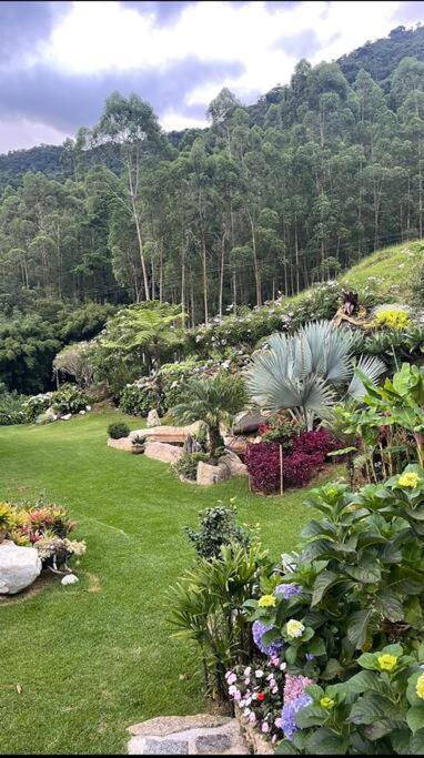 Sitio Com Piscina Natural E Cascata, Com Linda Vista Em Lumiar. Экстерьер фото